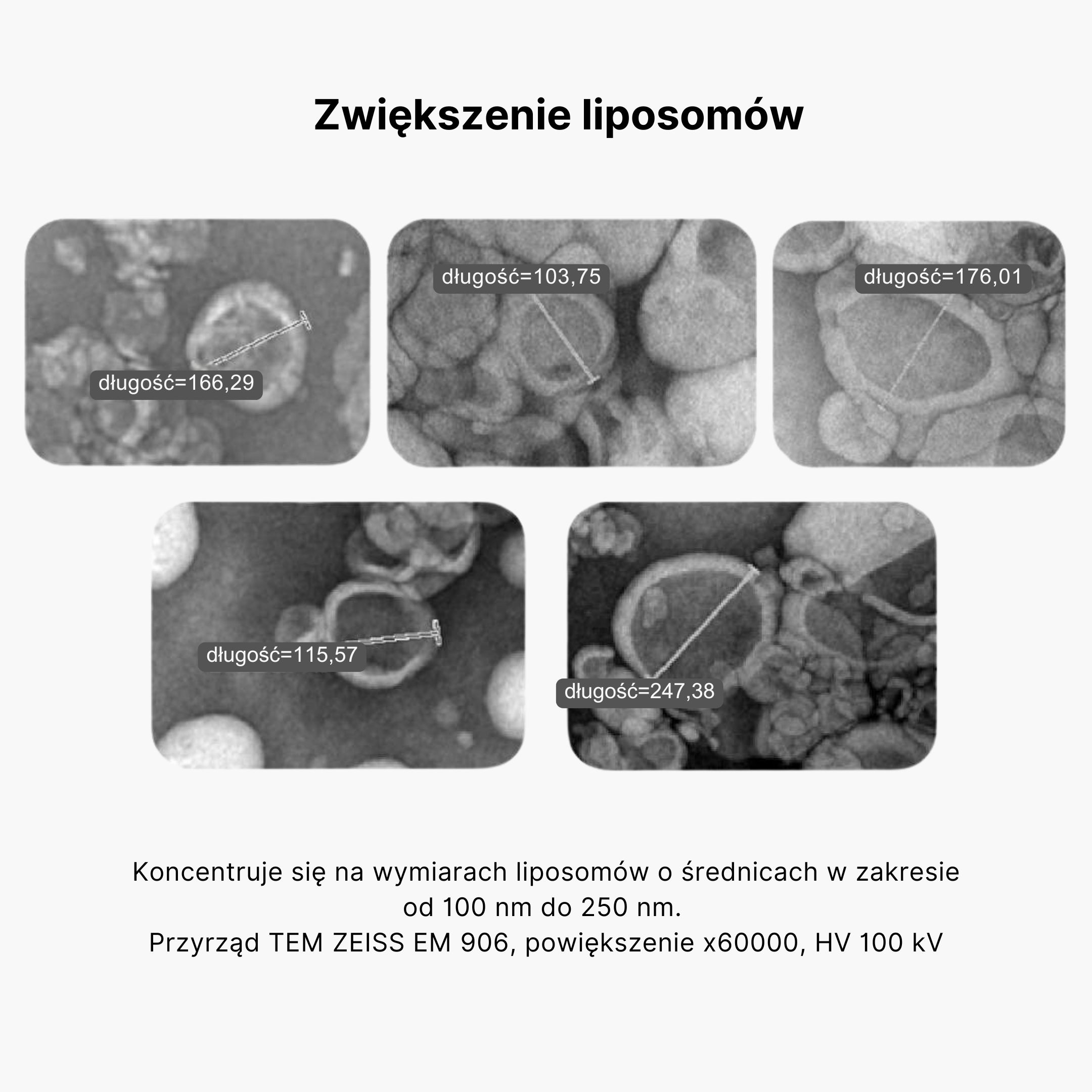 (Polština) - 2024-12-04T170519.064